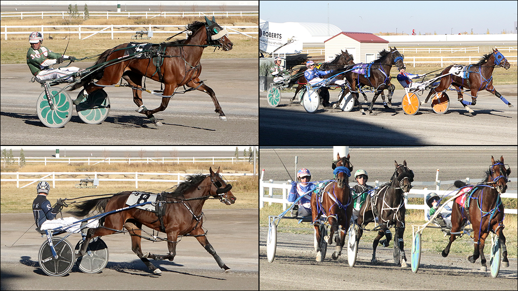 Alberta Sires Stakes Champions Crowned