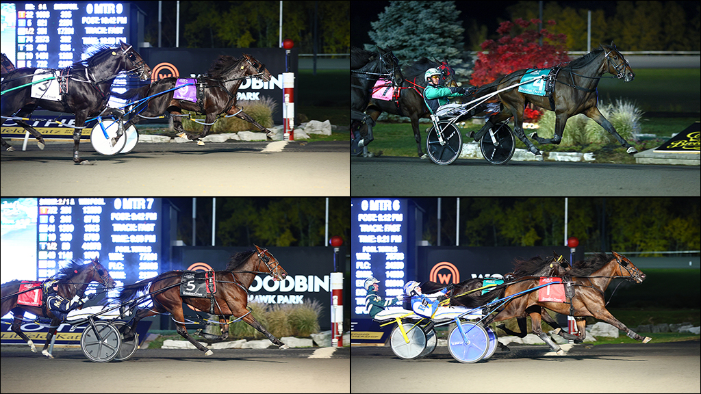 Connections Reflect On Crown Jewels