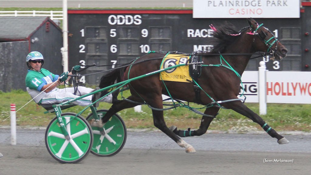 Anvil Hands Forges Solid Win In Plainridge Pace