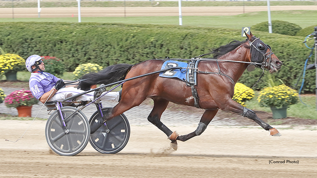 Action Uncle To Stand Stud In 2023