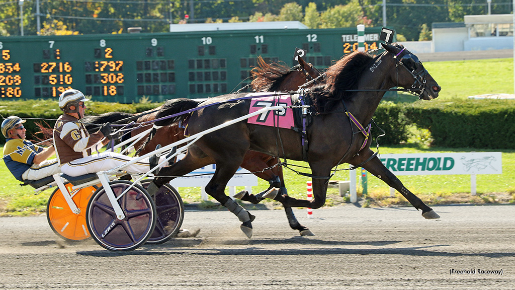 Calabrese Scores In AHDC Trot
