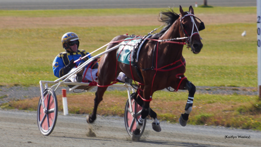 American Risk A Sure Thing At Truro