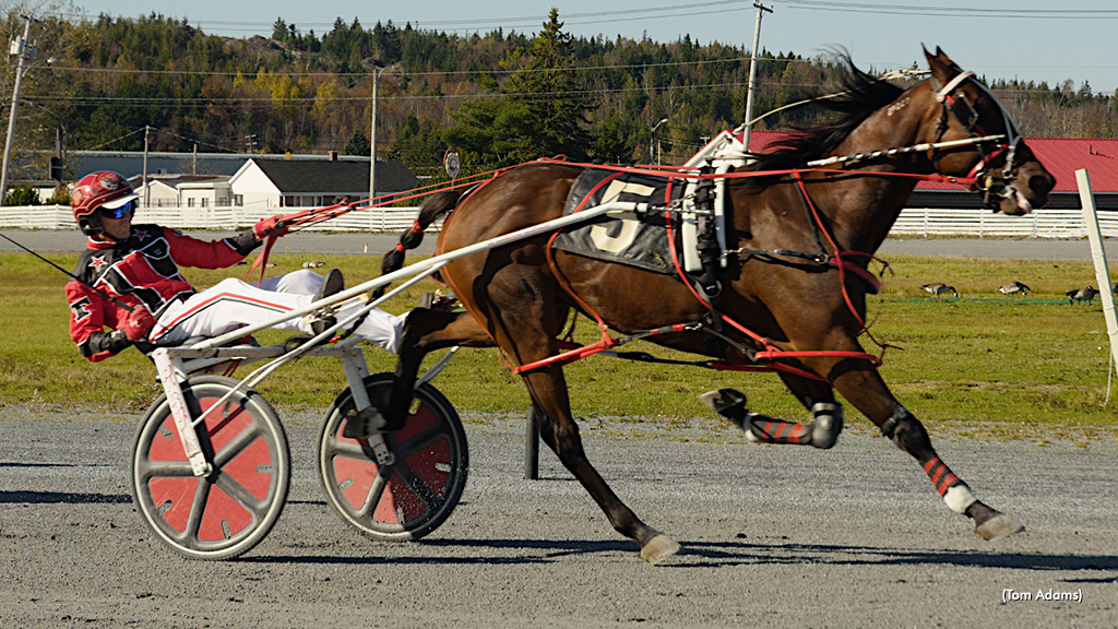 Racing Wraps At Exhibition Park