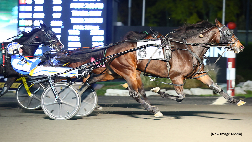 One 'Hill' Of A Debut