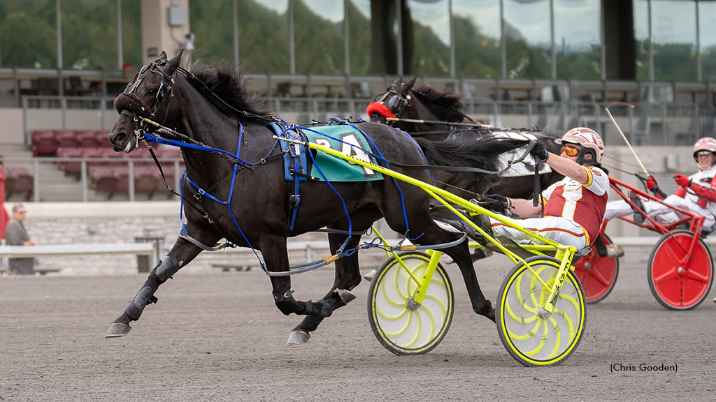 Bettor Strait N Up Shoots For PA Fairs 'Double Double'