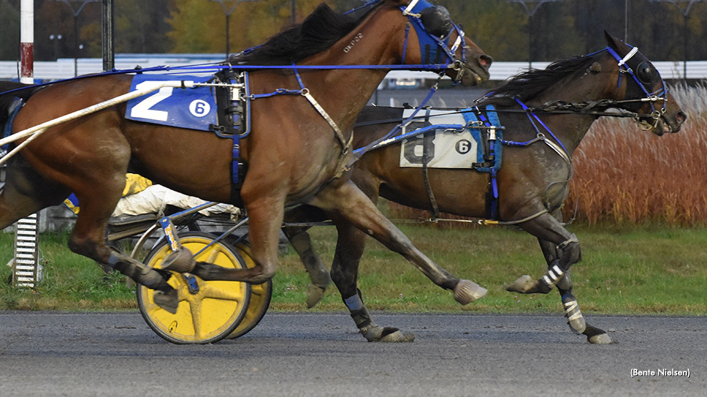 Back To Back For Black Tie Bash