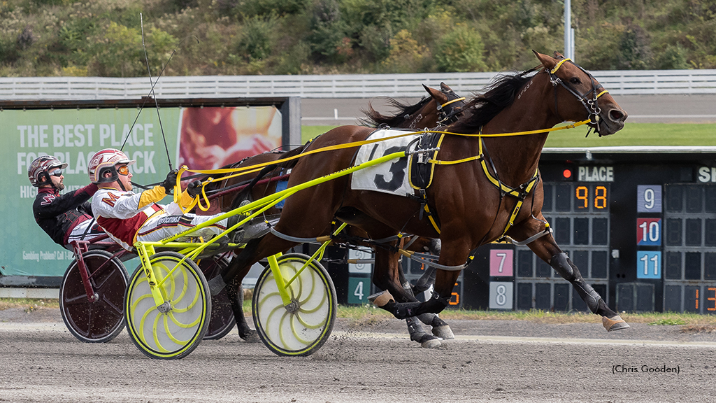 Blue Ivy Wins Mares Open; Meadows Honours Wrenn