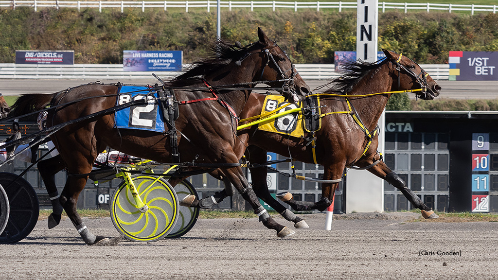 Race Mishap Unseats Wilder, Killeen At The Meadows