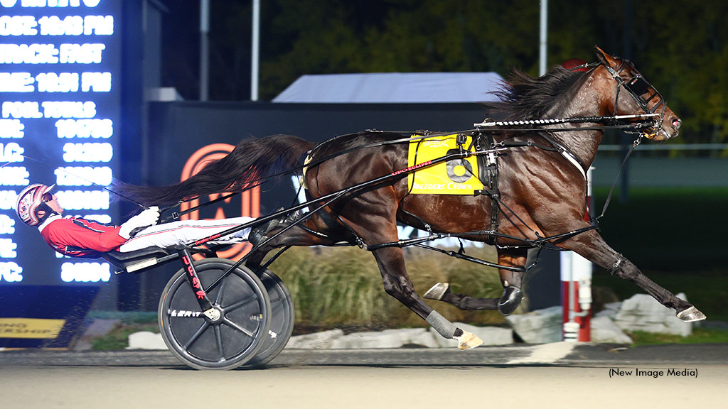 Bulldog Hanover First Unanimous U.S. Horse Of The Year