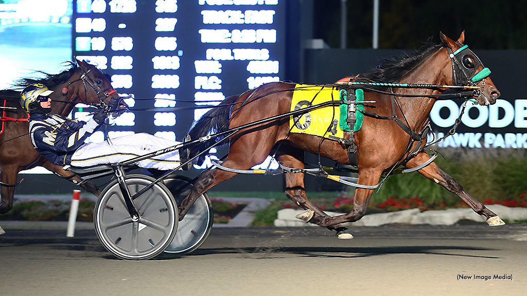 Super Final Champ Cheesy Smile Back In OSS Action 