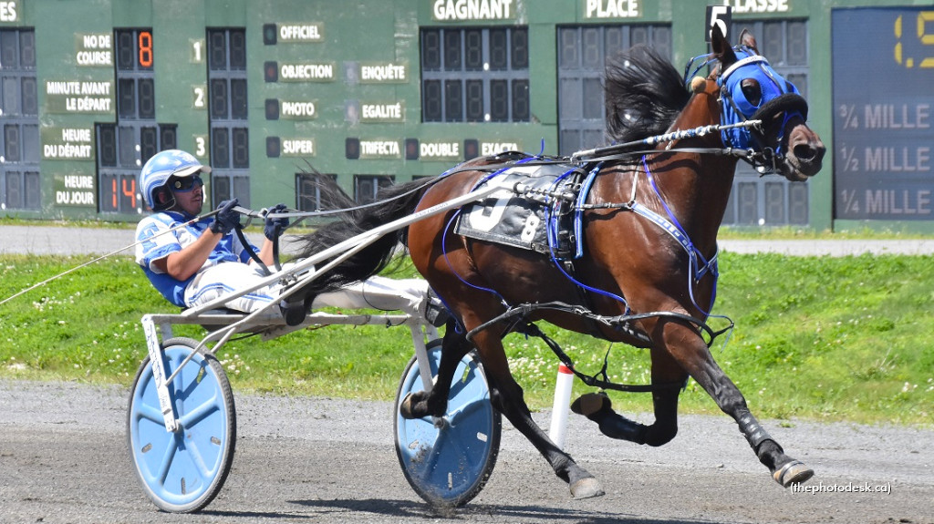 NDC Contender: Samuel Fillion