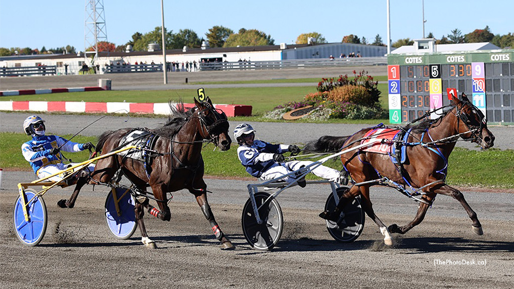D A Temptation Sizzles In Bombardier Pace