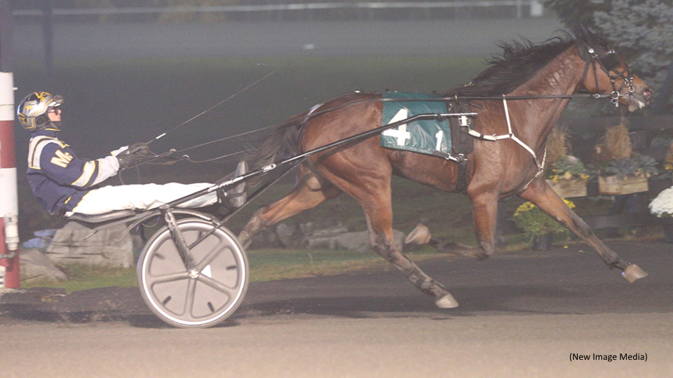 Harvest Series Finals Contested At Mohawk