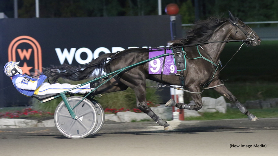 Fashion Frenzie Dominates In Open Trot
