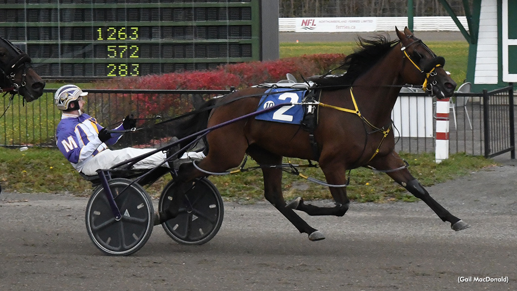 Fern Hill General Eyes Graduate Leg Saturday Fern Hill General Eyes Graduate Leg Saturday