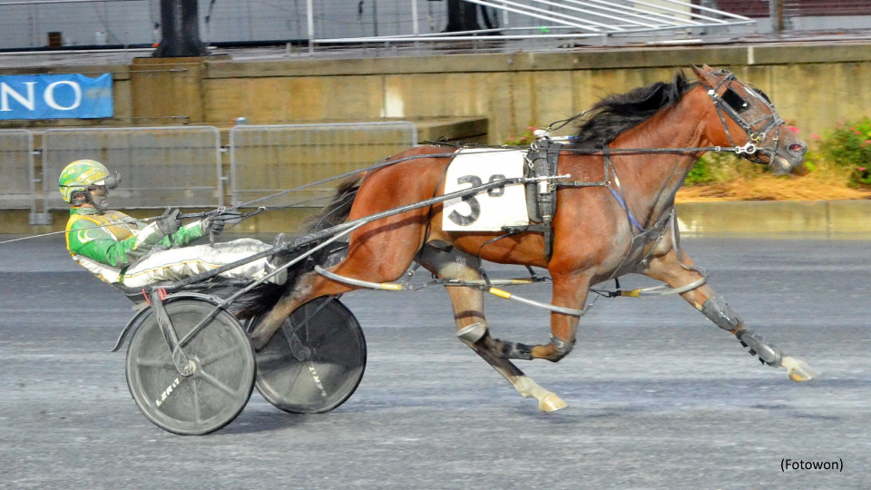 Delaware Standardbred Breeders Fund Sequel At Harrington Delaware Standardbred Breeders Fund Sequel At Harrington