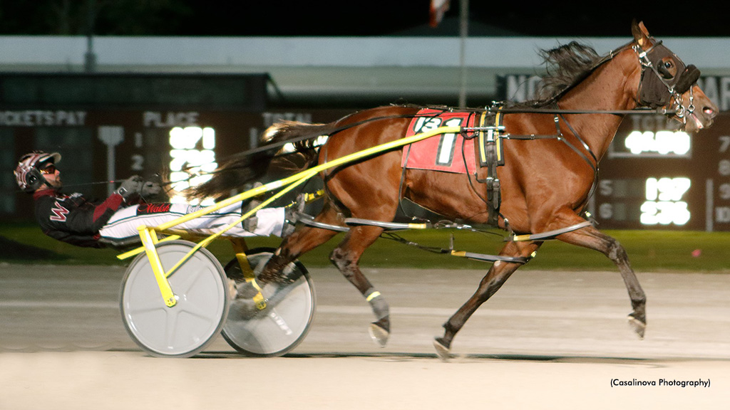 Galleria Hanover Wins Courageous Lady