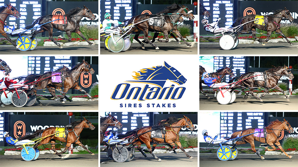 2022 Ontario Sires Stakes Grassroots Finals Complete