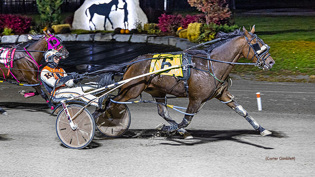 Hes Sporty, Murrays Watching With Autumn Series Wins