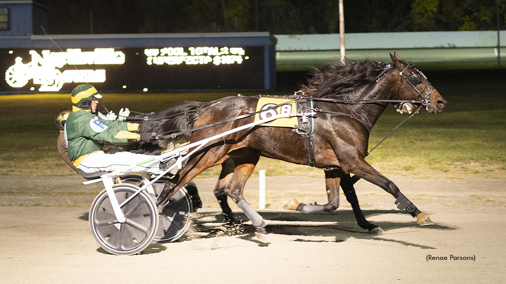 Celebrity Pegasus Stars In Northville Open