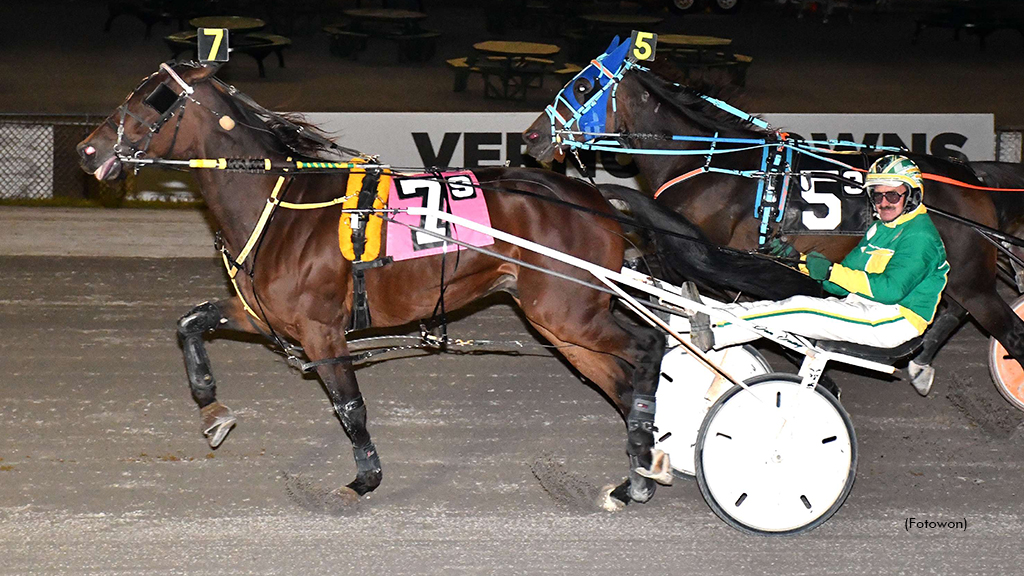 Joxter Triumphs In Open Trot At Vernon