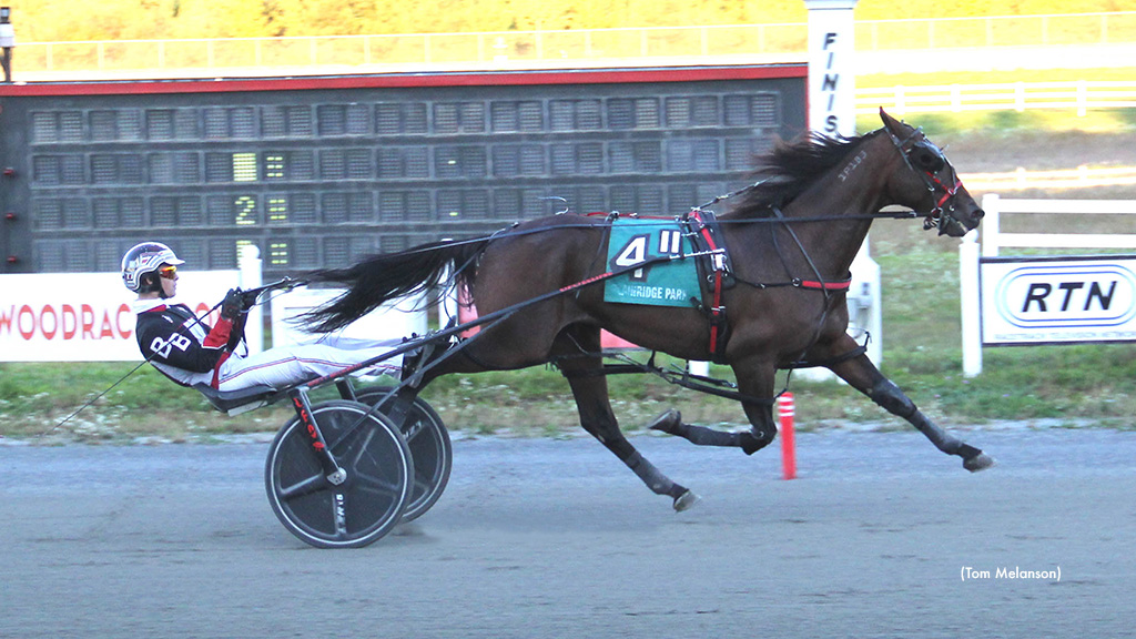 Keystone Dakota Meant Business At Plainridge