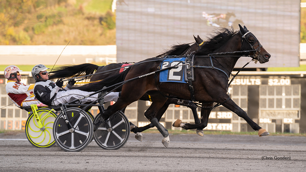 Longshot Sets Meadows Record; Sintra Triples In Open