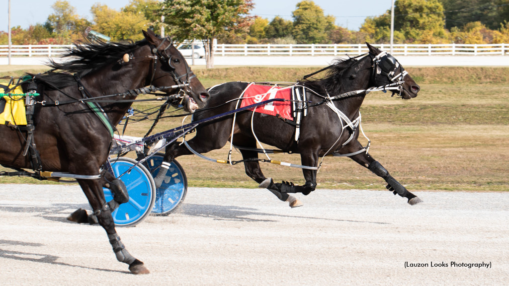 Maddys Credit Clings To Leamington Win