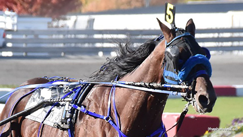 Two Wins In Two Days For Mickeymaksomespeed