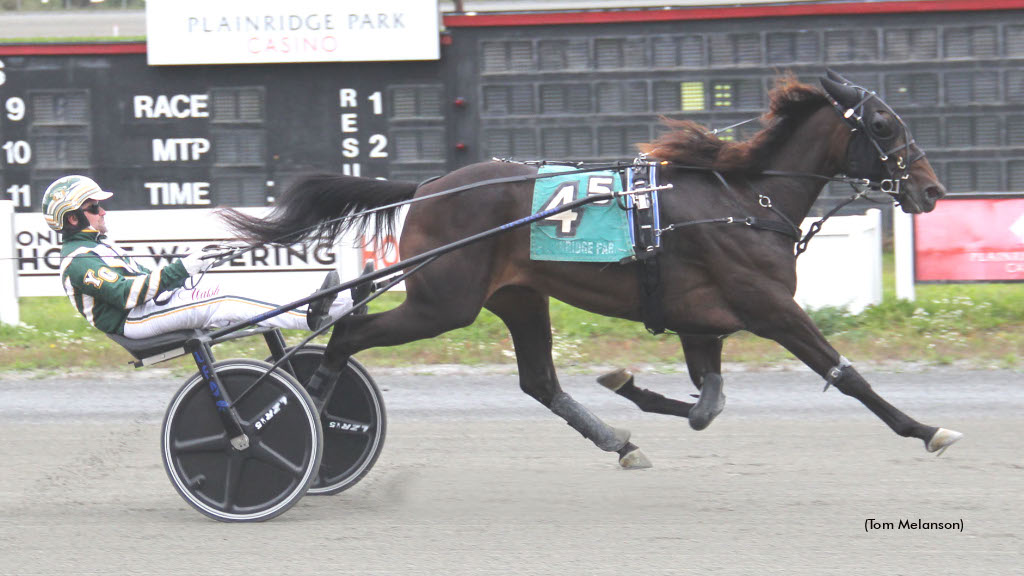 Milliondollarwall, Rooster Bennett Undefeated In Mass Stakes