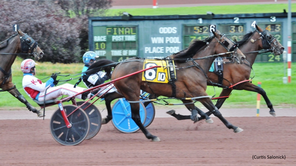 Miss Helen Hanover Did It The Tough Way