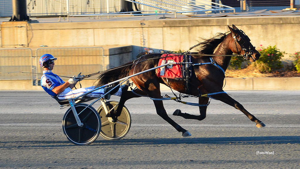 Misty Coast Wins Harrington DSBF Final