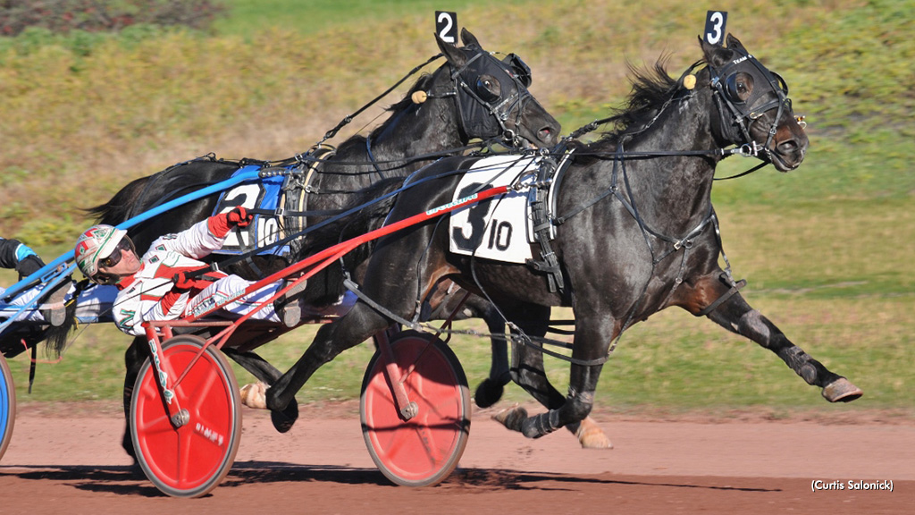 Parmesan N Rallies In Pocono Feature