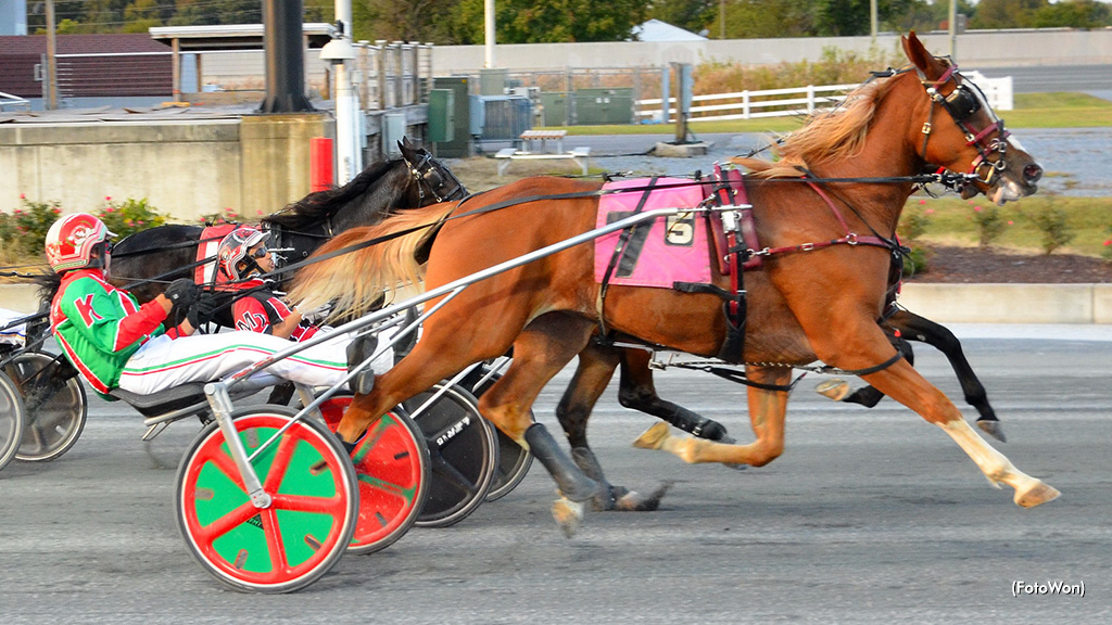 Harrington Hosts DSBF Finals