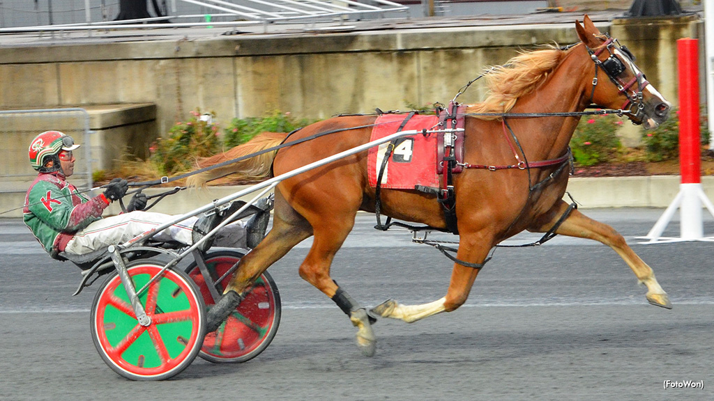 Perfect Twenty Heads Harrington DSBF Winners