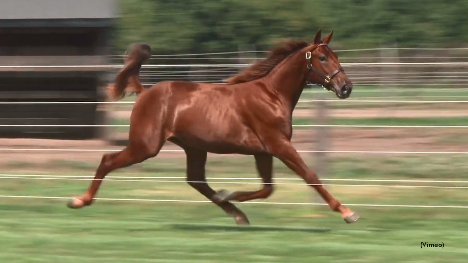 Ponda Marshall Tops Hoosier Classic Opener