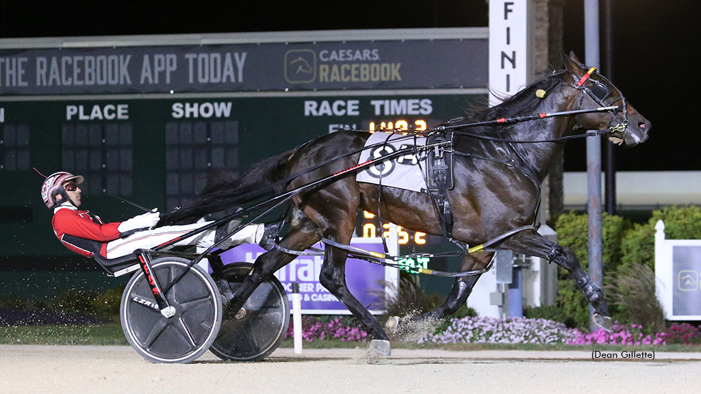 Ponda Warrior Looking To Conquer Crown