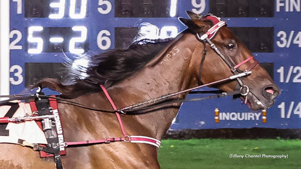 Power And Grace Rolls At Flamboro