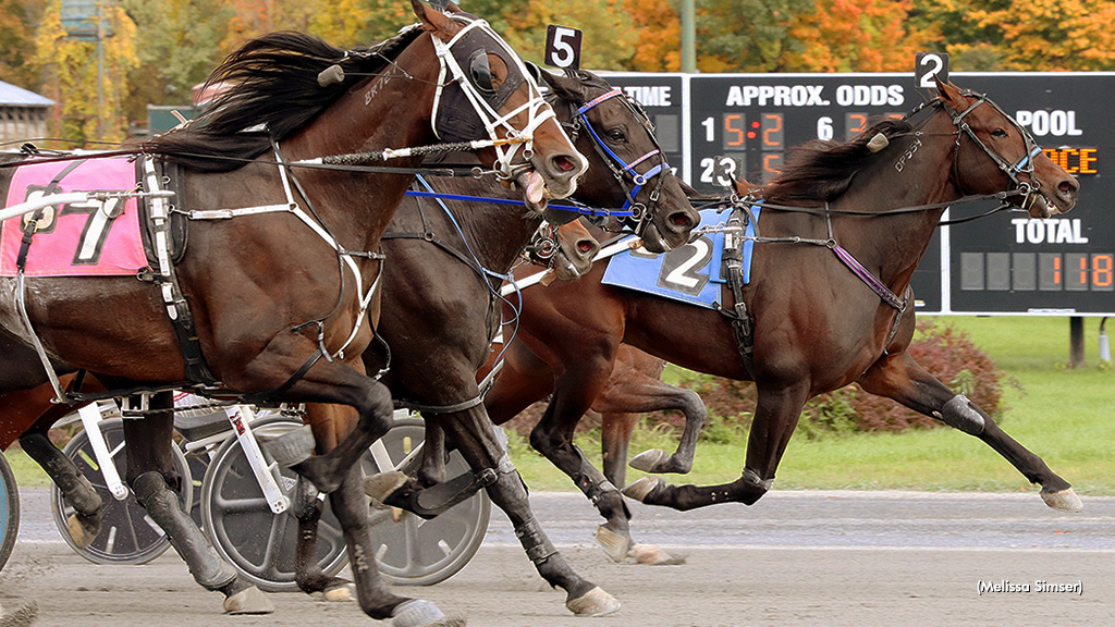 Quadratic Bluechip Collects At Saratoga