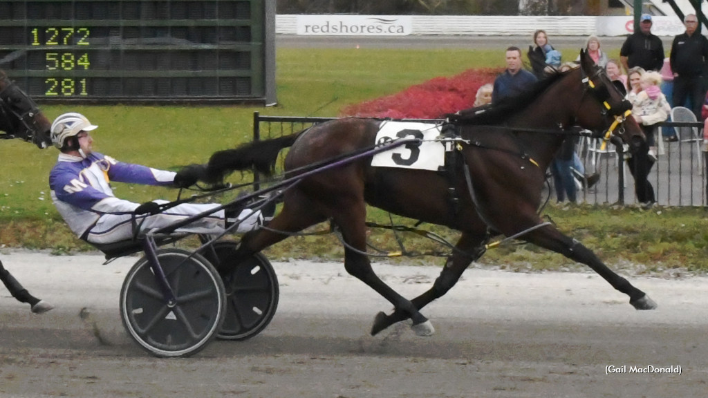 Redlandbethanyjean Aims For Red Shores Repeat