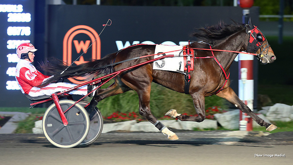 Sharpening Scores For Righteous Resolve, Linedrive Hanover