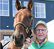 Sammy, Saving: Second Act For Star Standardbred