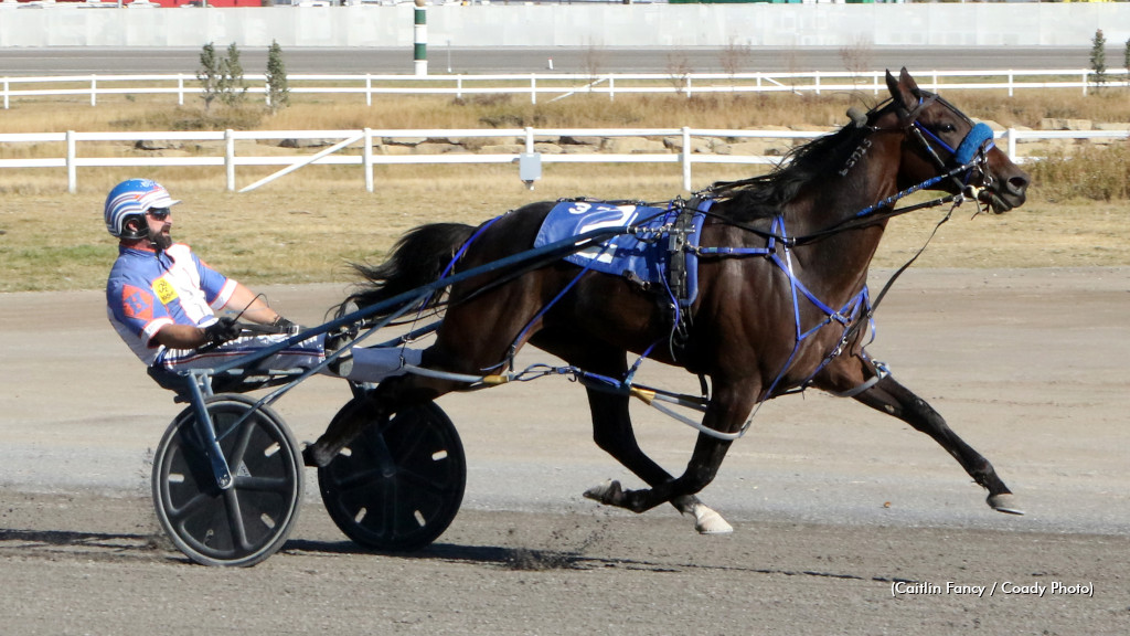 Shark Week Vicious In Century Preferred