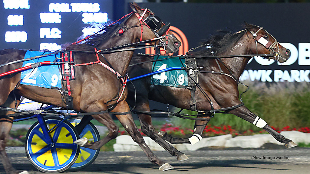 So Much More Repeats In Mares Open