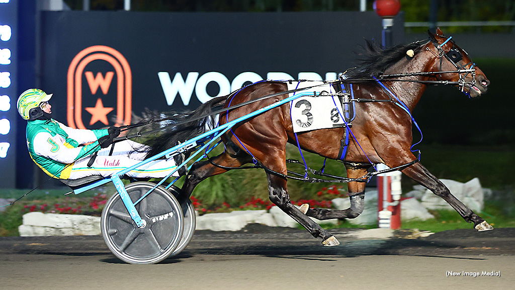 Stockade Seelster Perfect In OSS Sweep