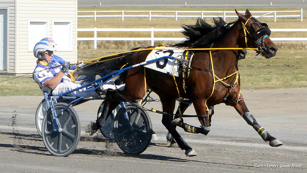Freshman Stakes Flood Century Saturday
