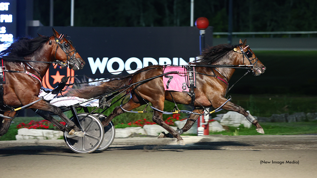 Tip Top Cat Sells For $330,000