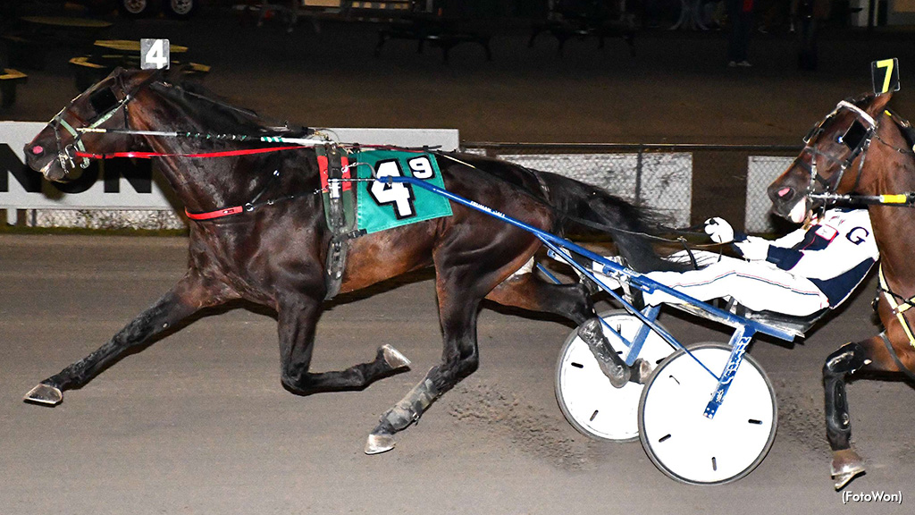 Tokyo Seelster Takes Vernon Open