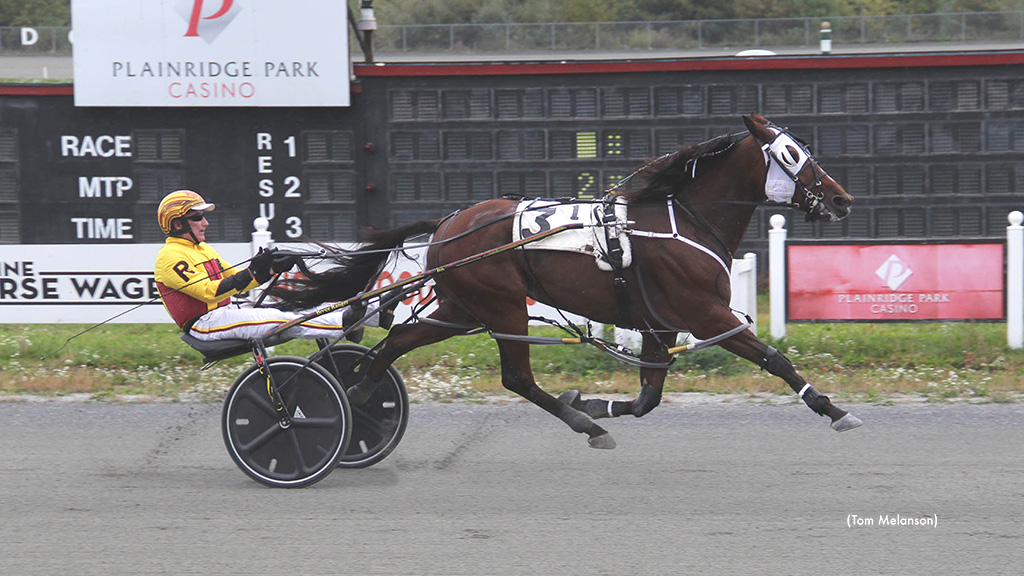 Treacherous Tom Remains Unbeaten In Massachusetts Sire Stakes