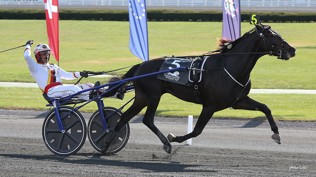 International Trot Field Set